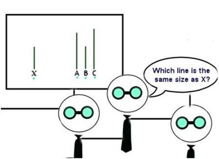 snap spænding blotte Conformity & Asch Experiment – StudiousGuy