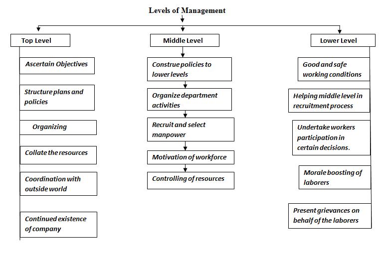 Hændelse, begivenhed Flyselskaber Australsk person Three Levels of Management: Top, Middle & Lower – StudiousGuy