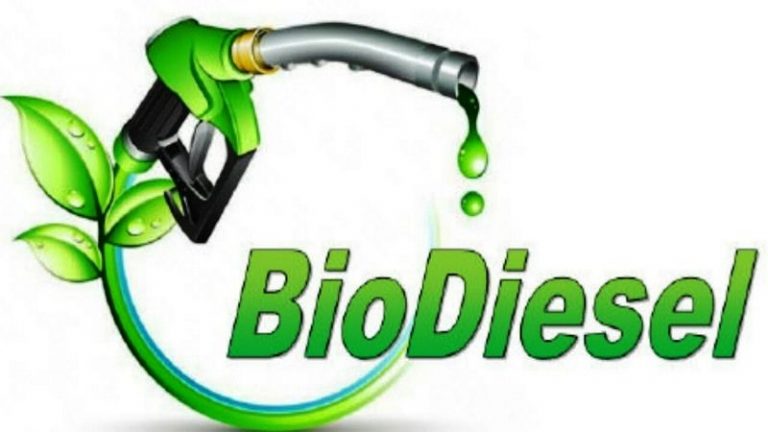 Biofuel: Types, Uses & Examples – StudiousGuy