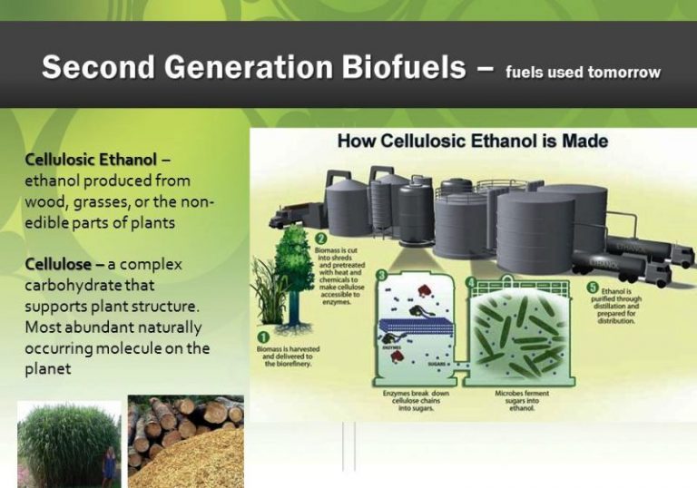 Biofuel: Types, Uses & Examples – StudiousGuy