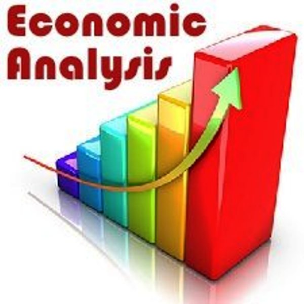 term paper on financial and economic analysis of a project