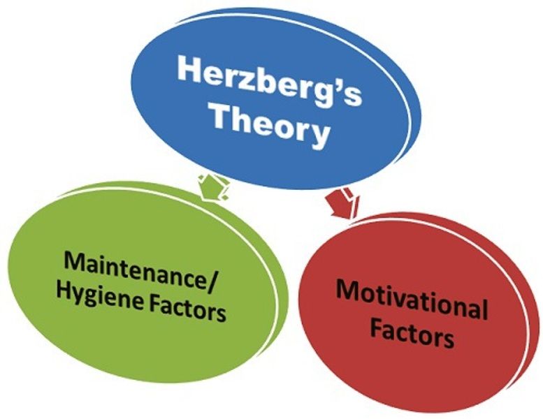 Herzberg's Motivators and Hygiene Factors - StudiousGuy