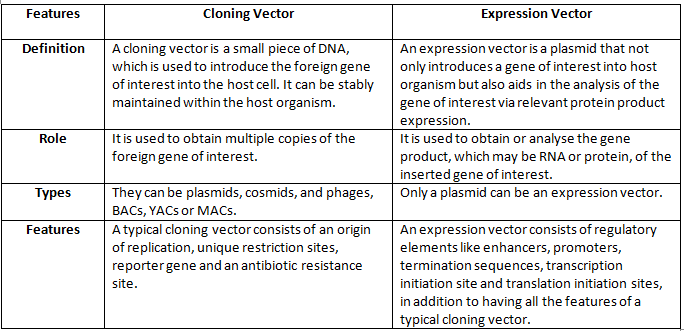 Difference Between a Cloning Vector and an Expression Vector – StudiousGuy