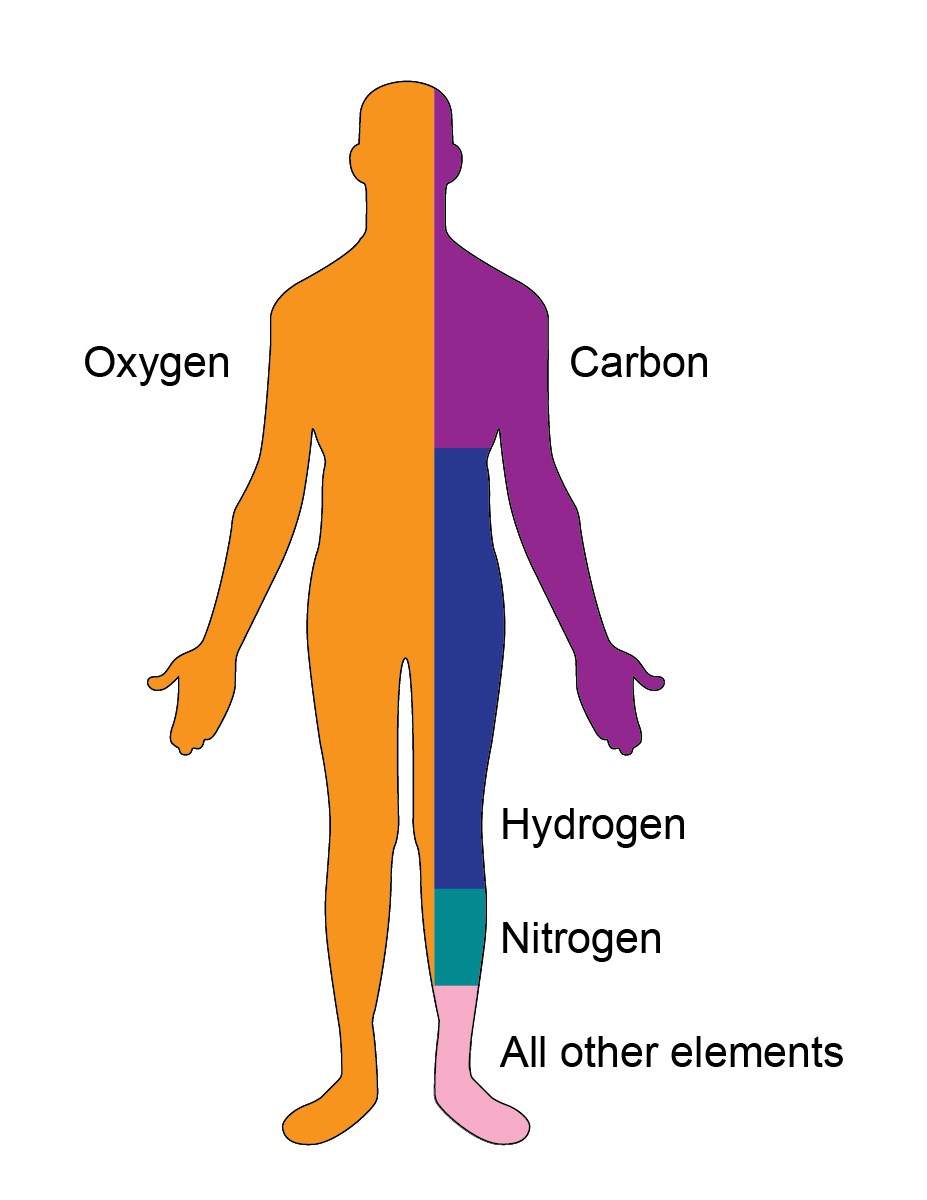 Daily Chemical Compounds