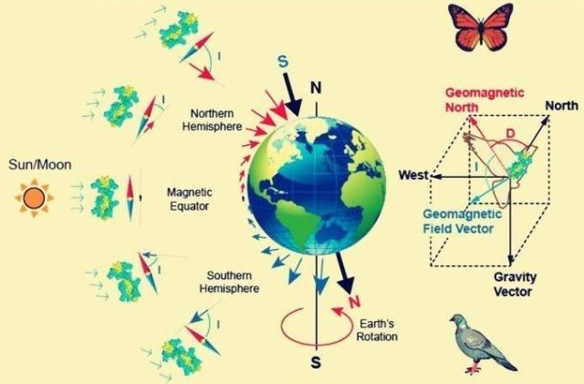 Examples Of Quantum Physics In Everyday Life Biological Compass 