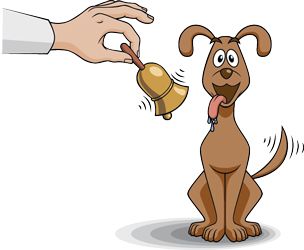 classical conditioning examples