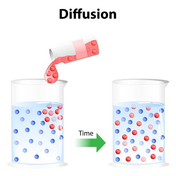 Example Of Diffusion In Everyday Life