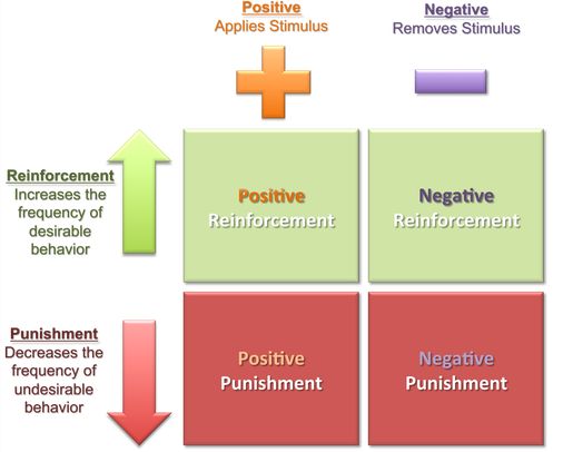 13 Examples Of Operant Conditioning In Everyday Life Studiousguy