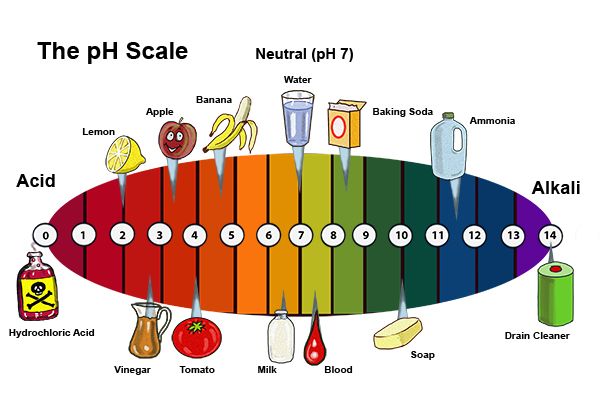 Acids And Bases You Can Find At Home - Home Rulend