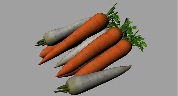 carrot_raddish esimerkkejä tötteröistä