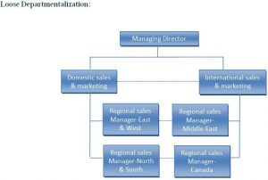 Organizational Design and Structure; Definition, Elements, Types, Pros ...