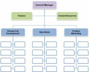 Organizational Design and Structure; Definition, Elements, Types, Pros ...