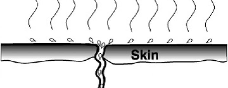 StudiousGuy Page 168 Your Study Buddy studiousguy-page-191-your-study-buddy