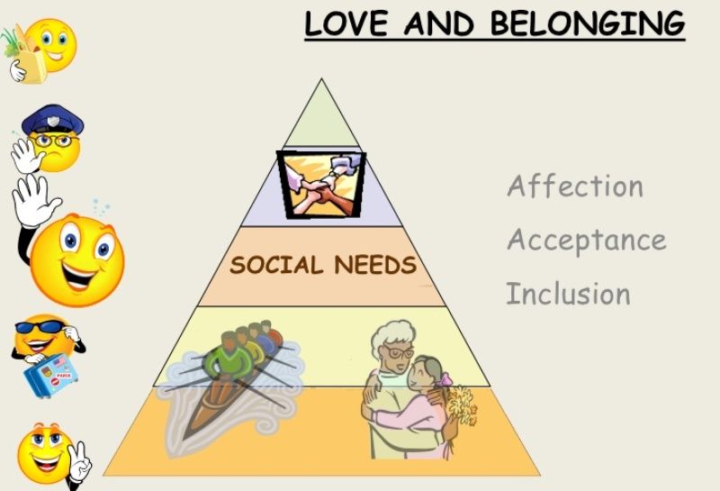 What is belongingness and love needs?