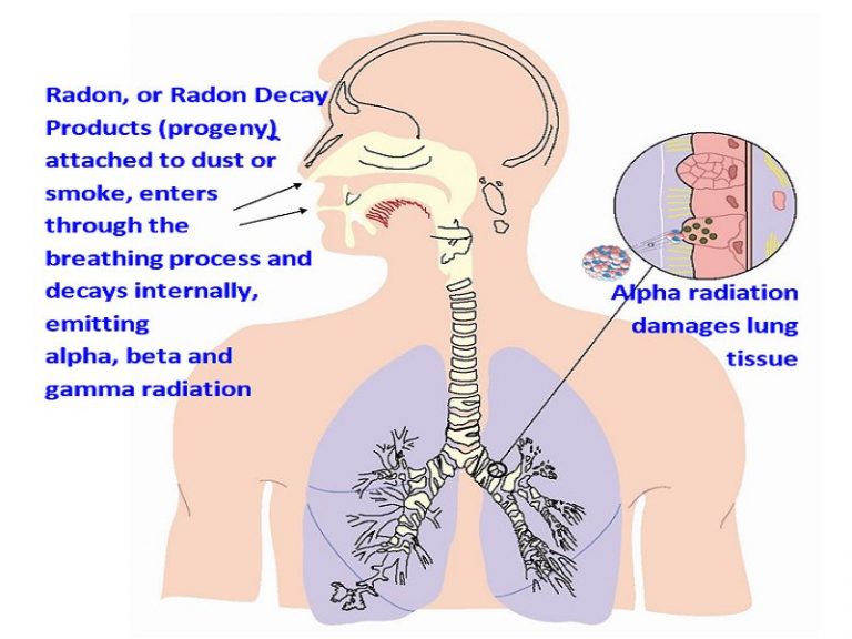 Radon (Rn): Properties & Uses – StudiousGuy