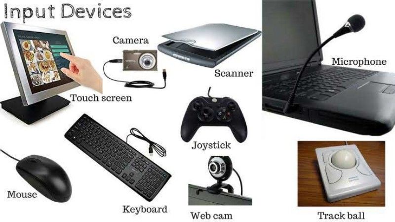 What Are Three Examples Of Input Devices