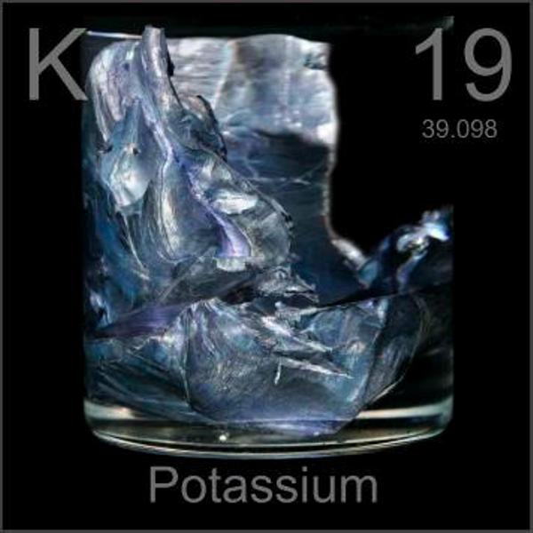 potassium element family