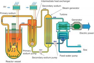 Sodium (Na): Properties & Uses – StudiousGuy