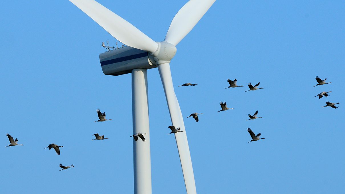 new-uk-renewable-energy-record-with-wind-power-taking-the-lead