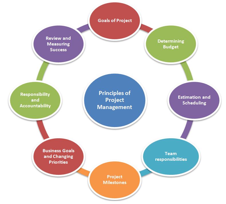 principloes-of-software-project-management-pb-s-a-m-rizvi