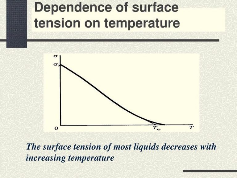 10 Surface Tension Examples in Daily Life StudiousGuy