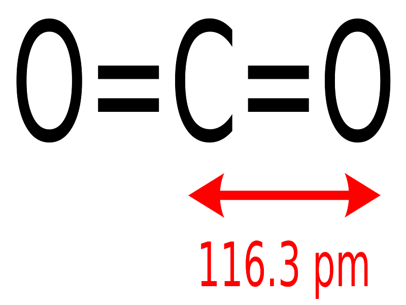 10 Covalent Bond Examples in Real Life – StudiousGuy