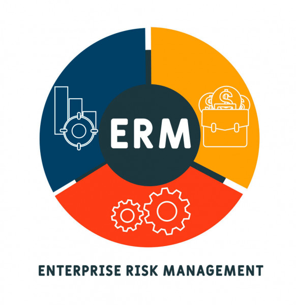enterprise risk management case study examples
