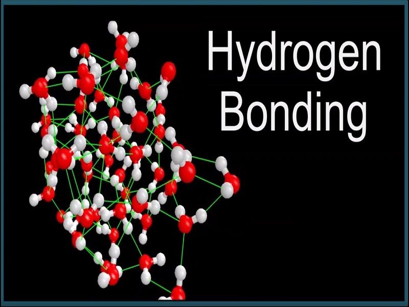 Hydrogen bond