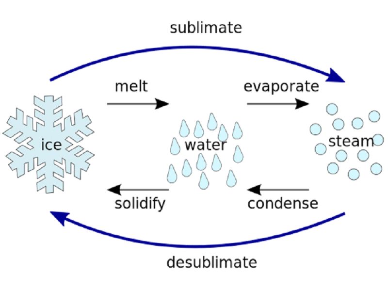 Sublimation Phase Diagram