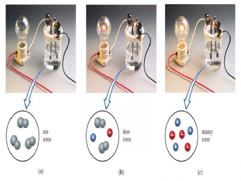 9 Electrolyte Examples in Daily Life StudiousGuy