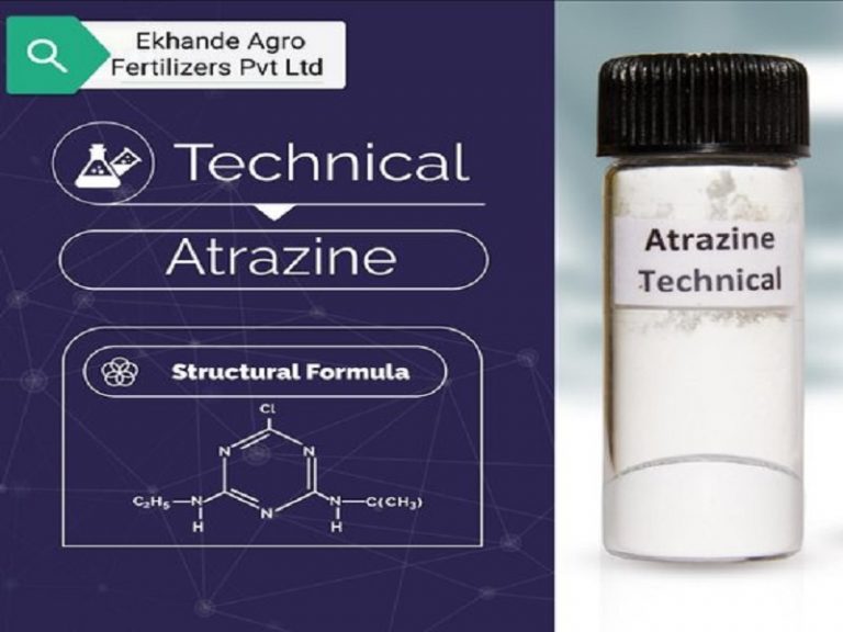 9 Endocrine Disruptor Examples StudiousGuy