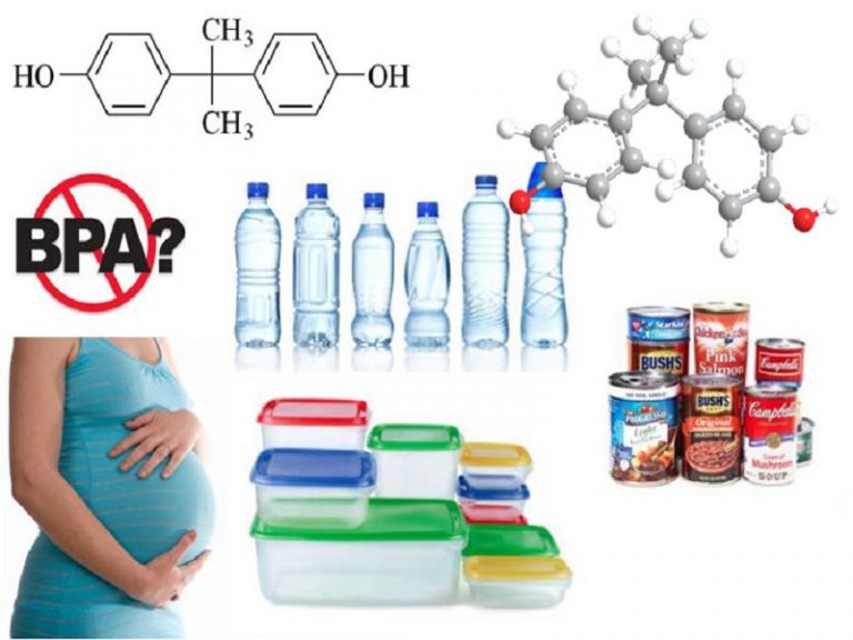9 Endocrine Disruptor Examples StudiousGuy