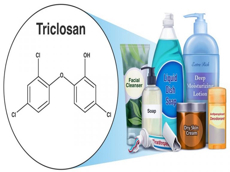 9 Endocrine Disruptor Examples StudiousGuy