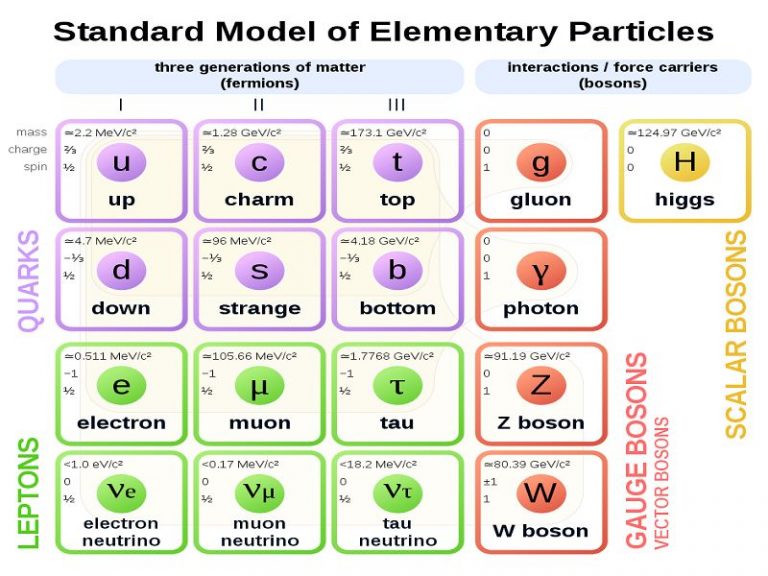 Higgs boson Explained – StudiousGuy