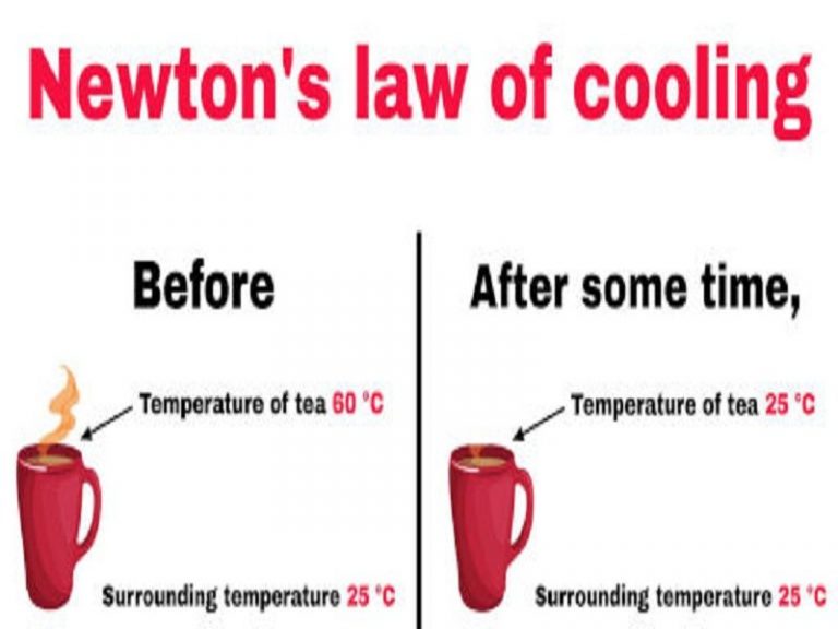 Examples Of Newtons Law Of Cooling In Real Life Studiousguy