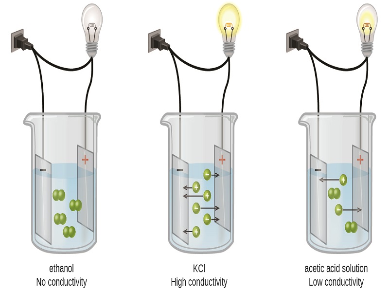 electrolyte examples chemistry