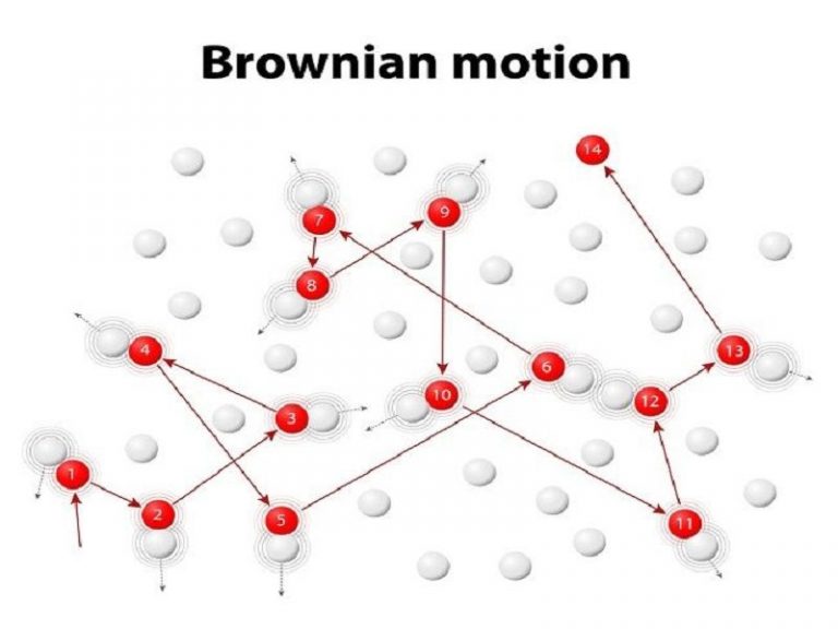 8 Brownian Motion Examples In Real Life StudiousGuy 8 Brownian Motion Examples In Real Life StudiousGuy