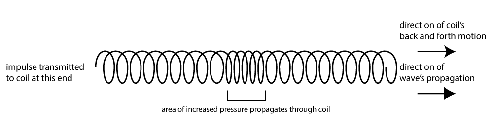 compressional wave examples