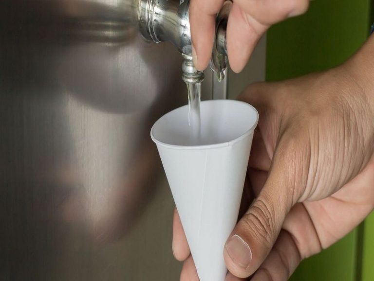 21 Real Life Examples Of Cone StudiousGuy