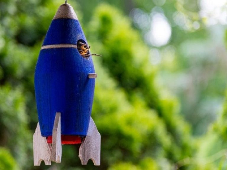 21 Real Life Examples Of Cone StudiousGuy