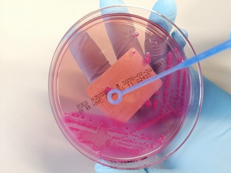 List of Chemistry Laboratory Apparatus and Their Uses StudiousGuy