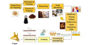 Biotechnology Examples in Everyday Life – StudiousGuy