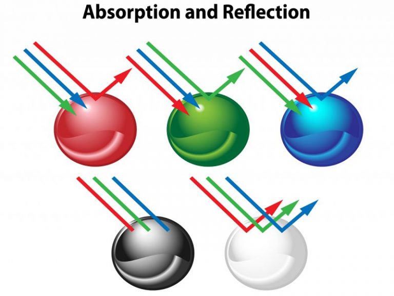 Examples of Objects That Absorb Light StudiousGuy