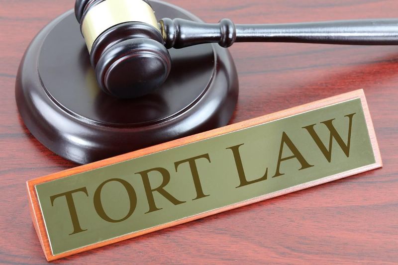 law-of-torts-in-india-studiousguy