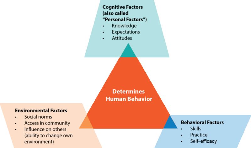 Triadic reciprocal causation online model