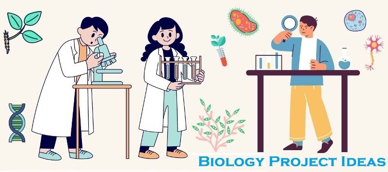 10 Biology Project Ideas – StudiousGuy